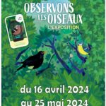Expo "Observons les oiseaux" à la médiathèque du 16 avril au 25 mai.